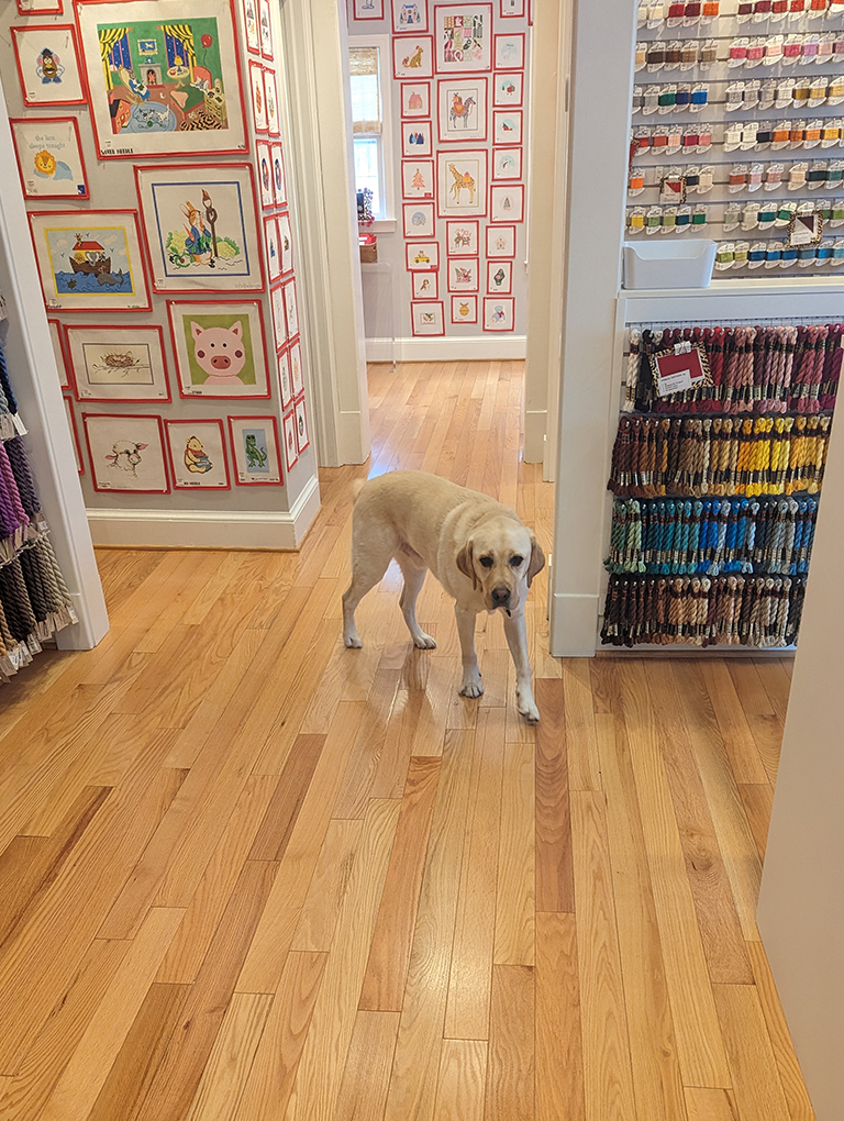 Eddie, Human Resources at The Point of It All