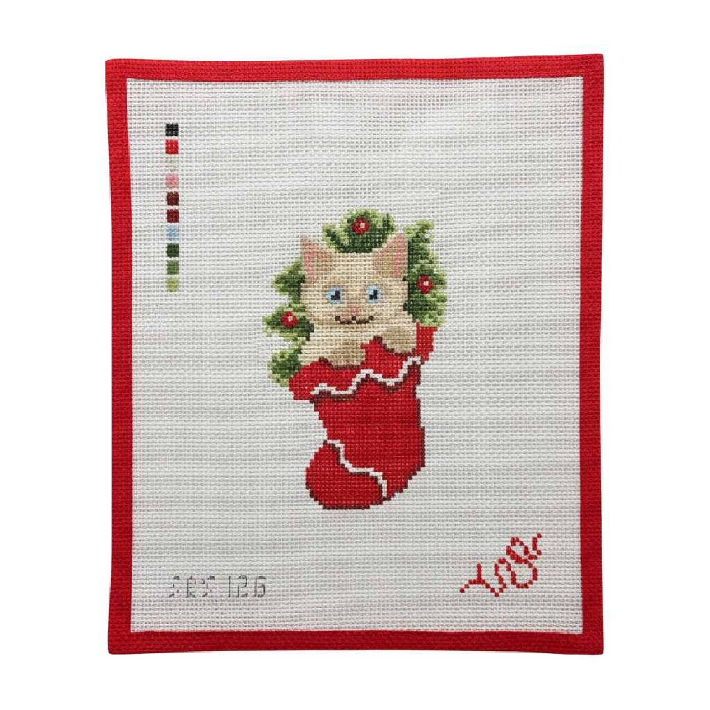 Kitten in Stocking