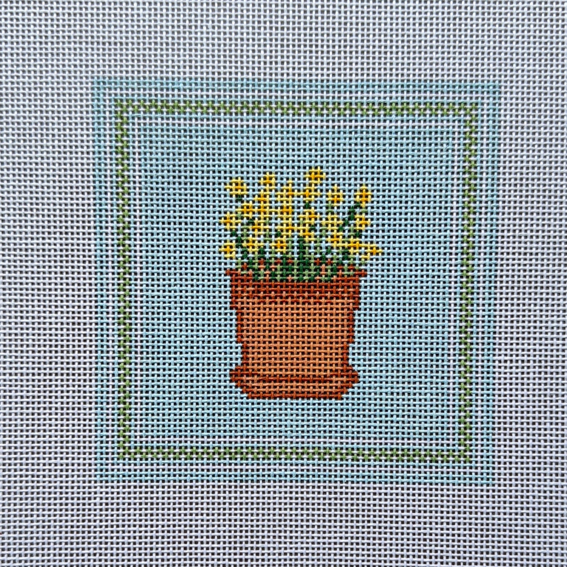 Daffodils