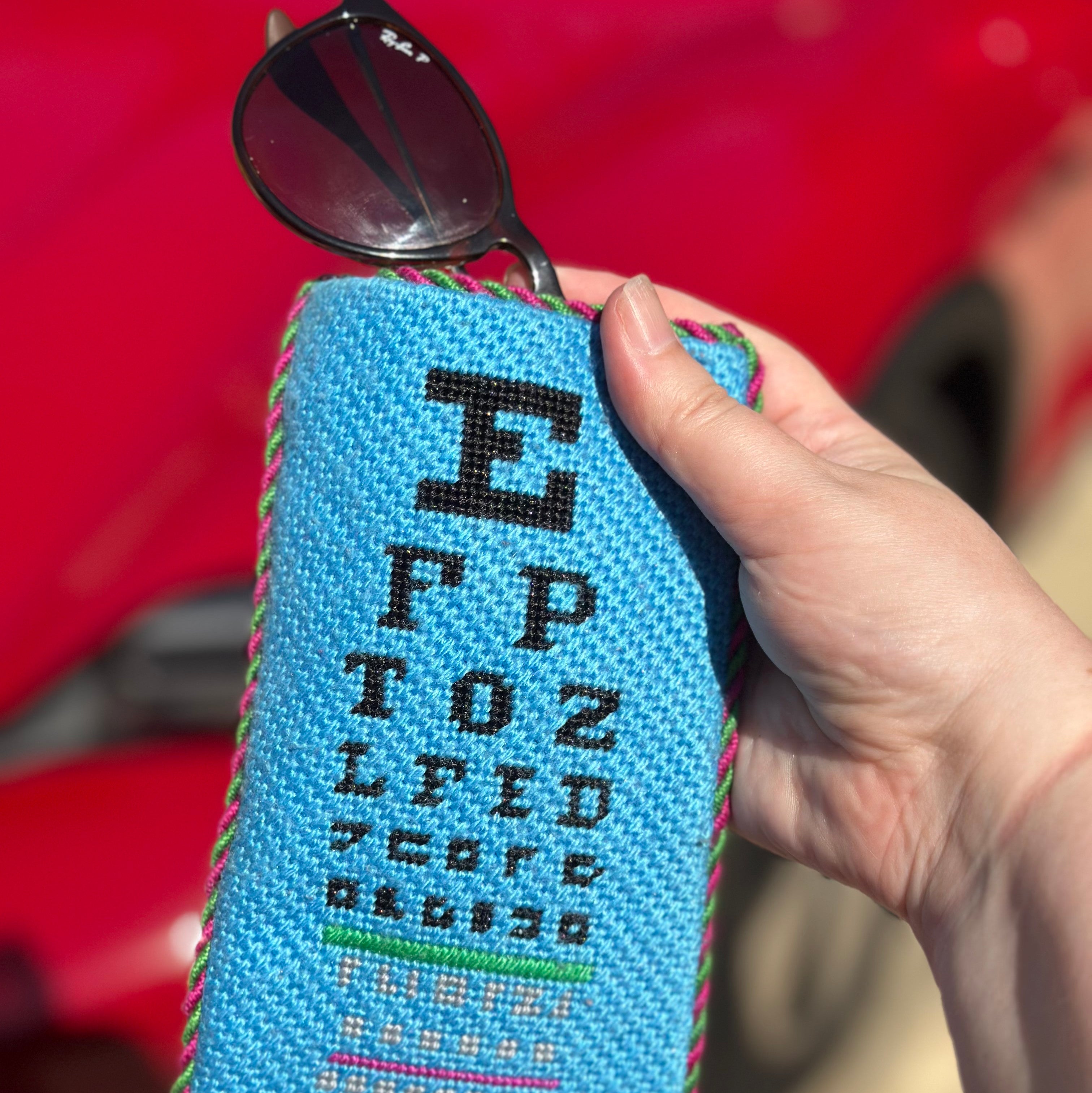 Eye Chart Eyeglass Case on 18 mesh