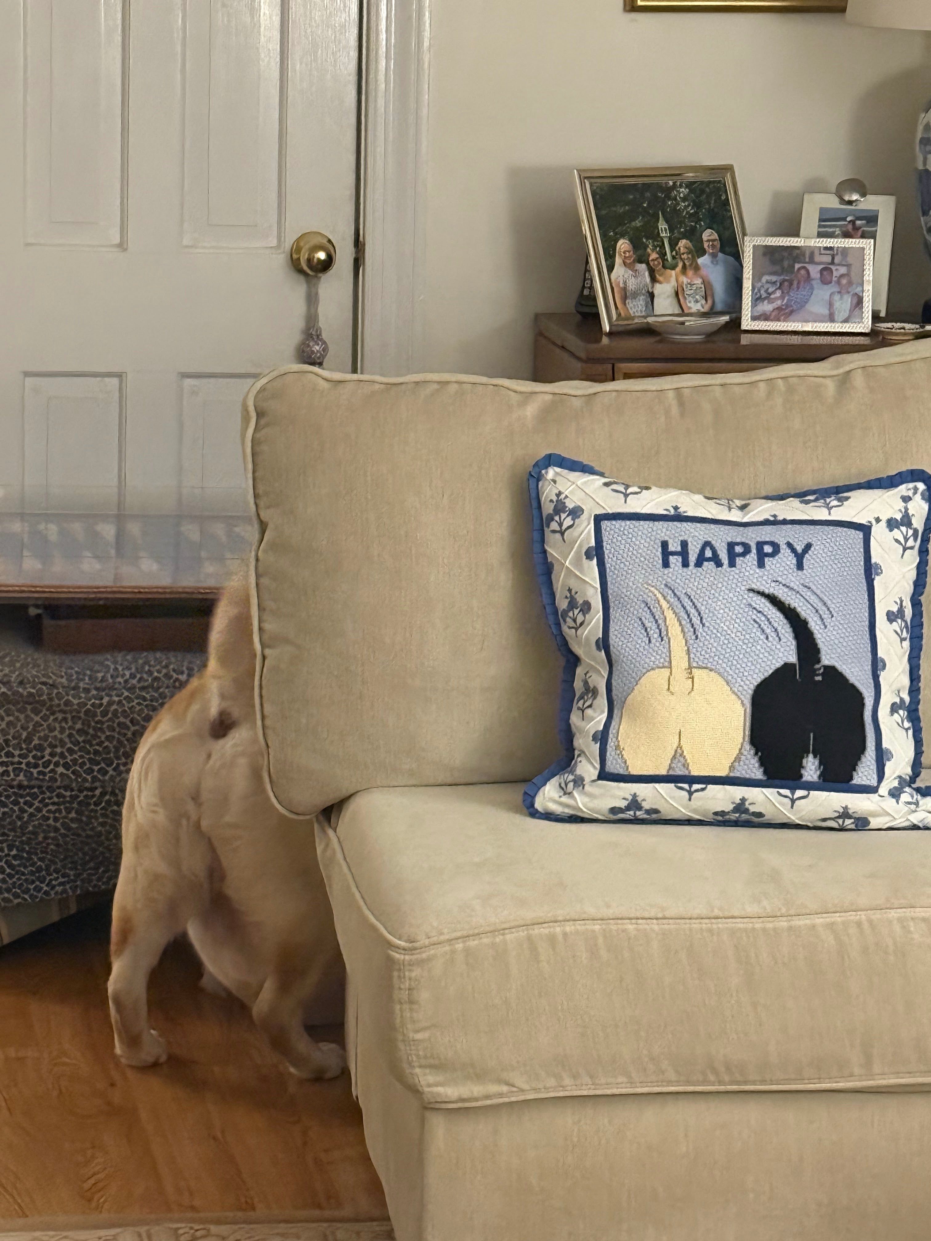 Happy! Pillow