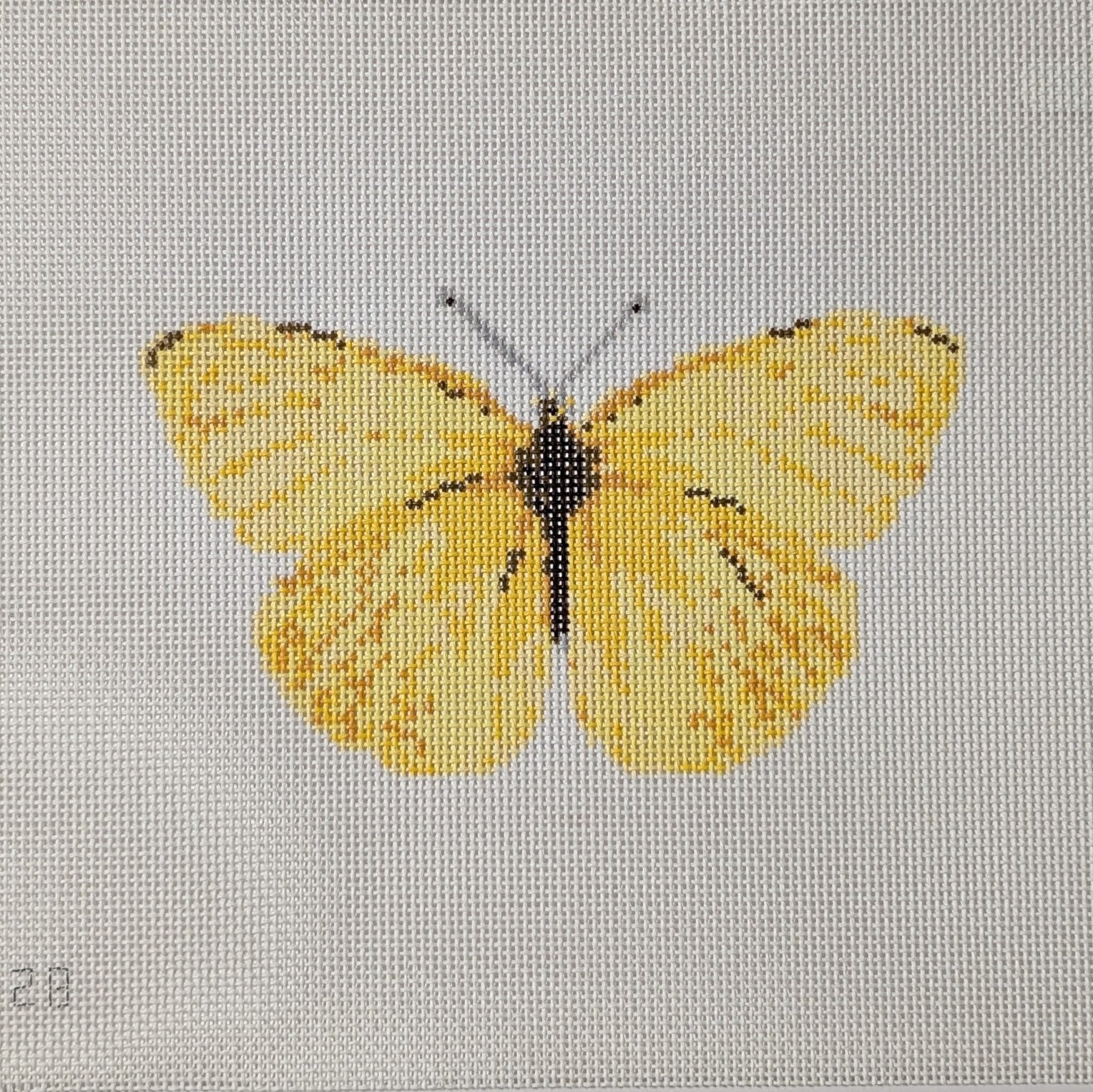 Yellow Butterfly