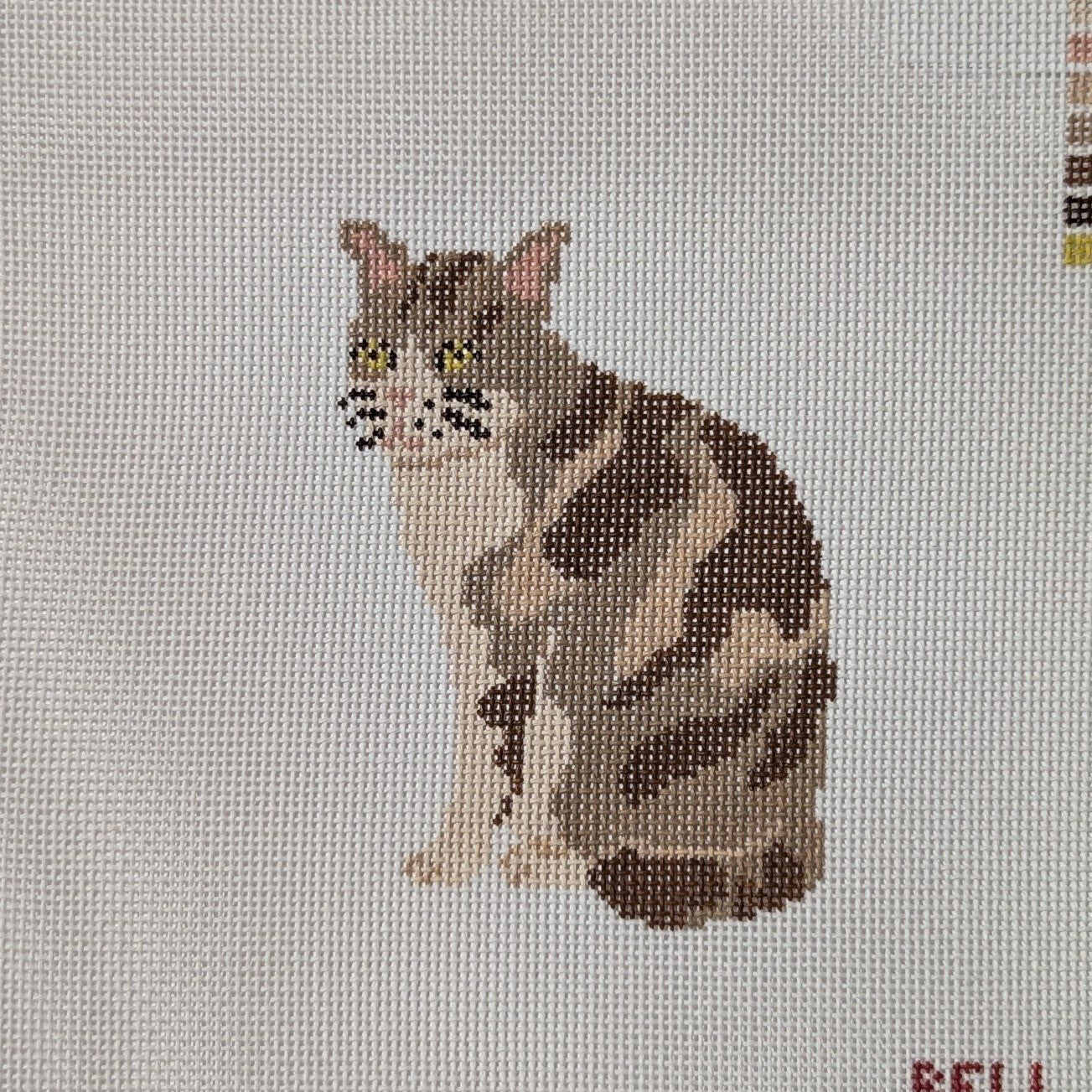 Brown Cat
