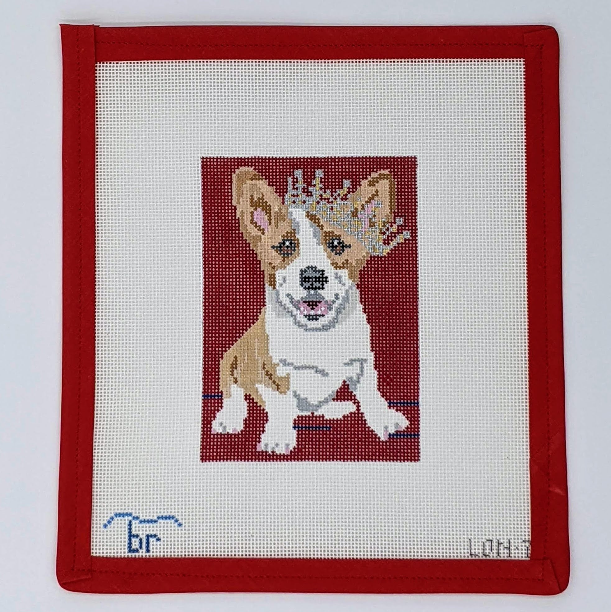 Corgi Queen (18 m.)