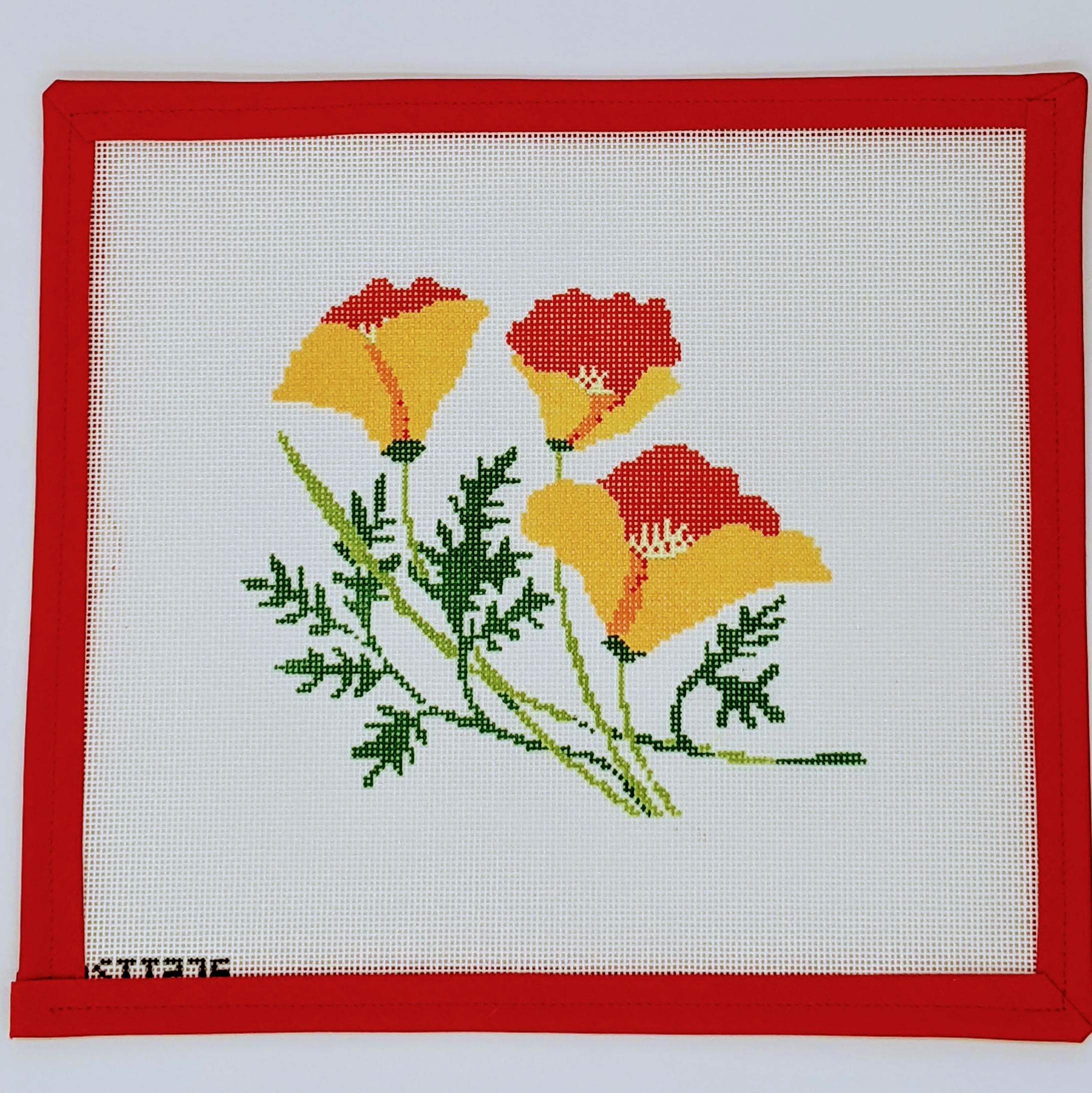 California Poppy