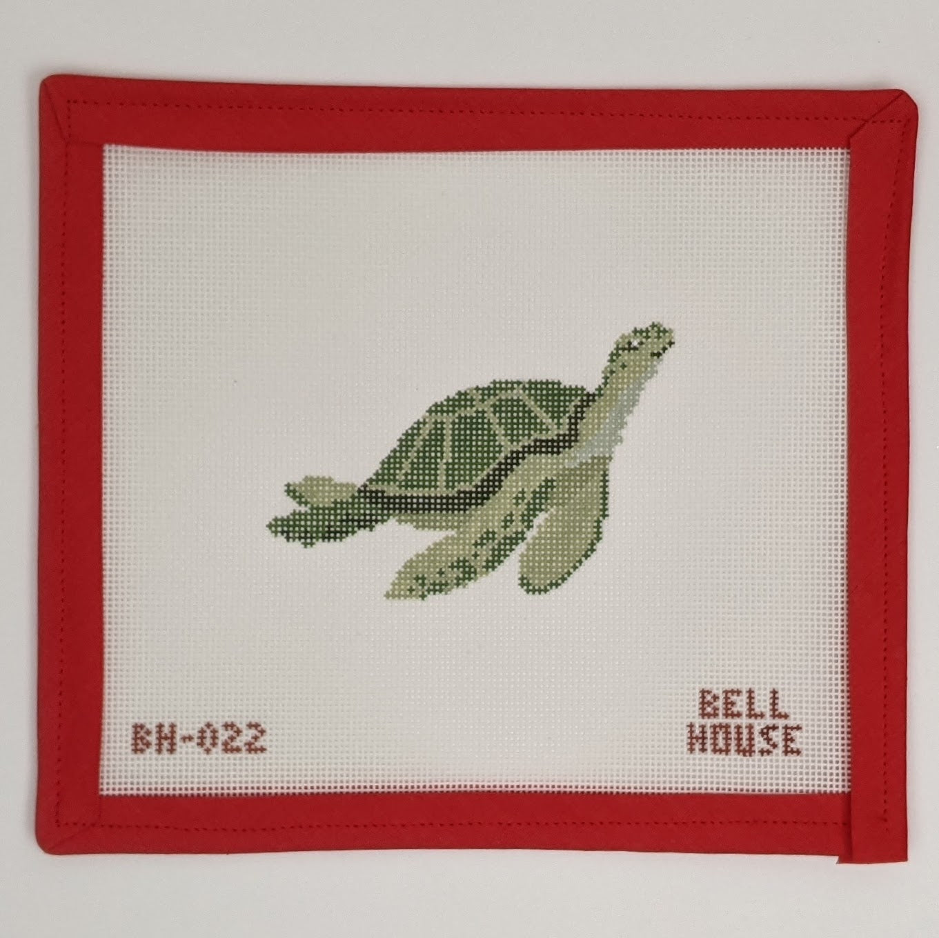 Sea Turtle
