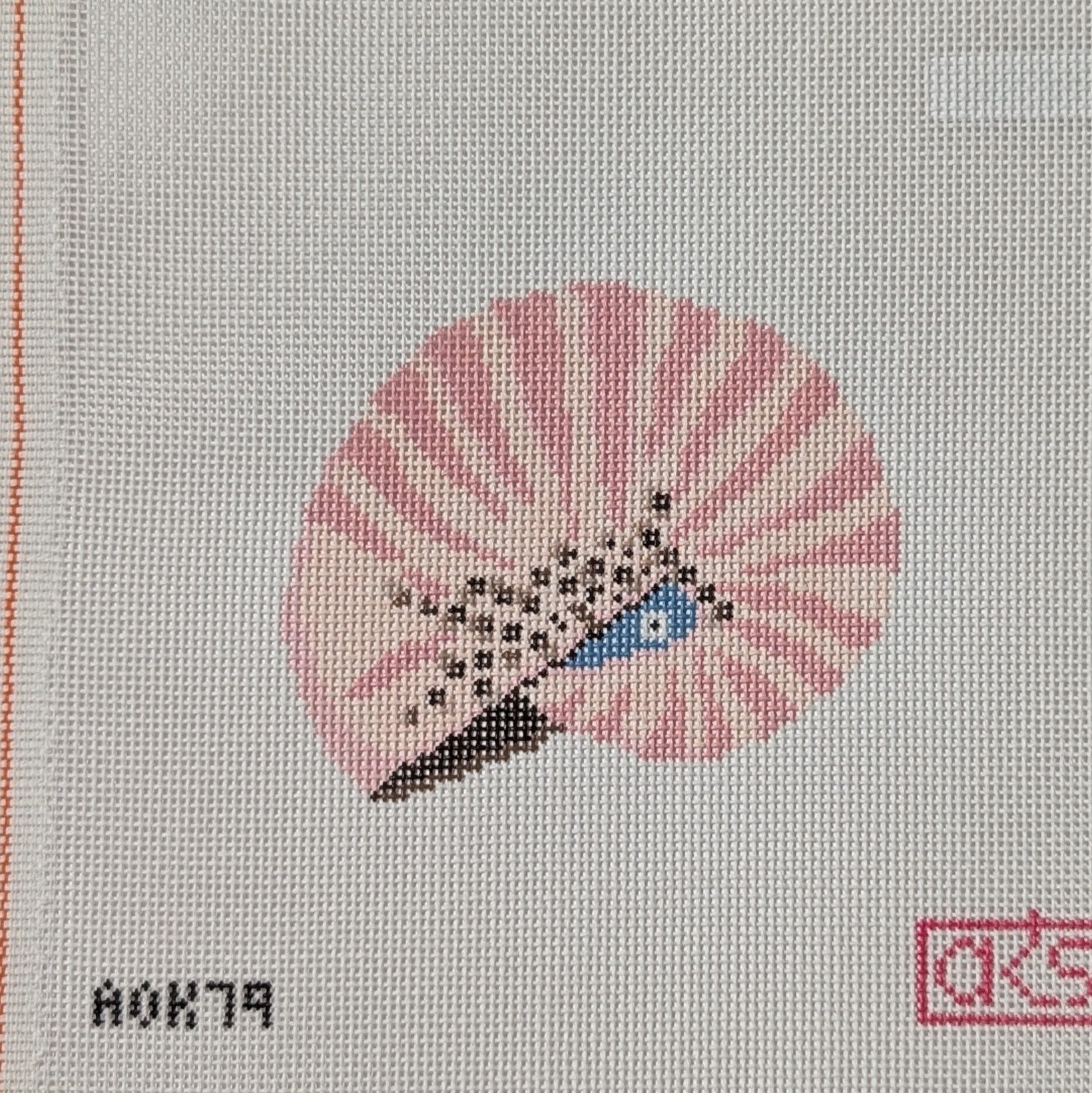 Baby's Ear Nautilus Shell