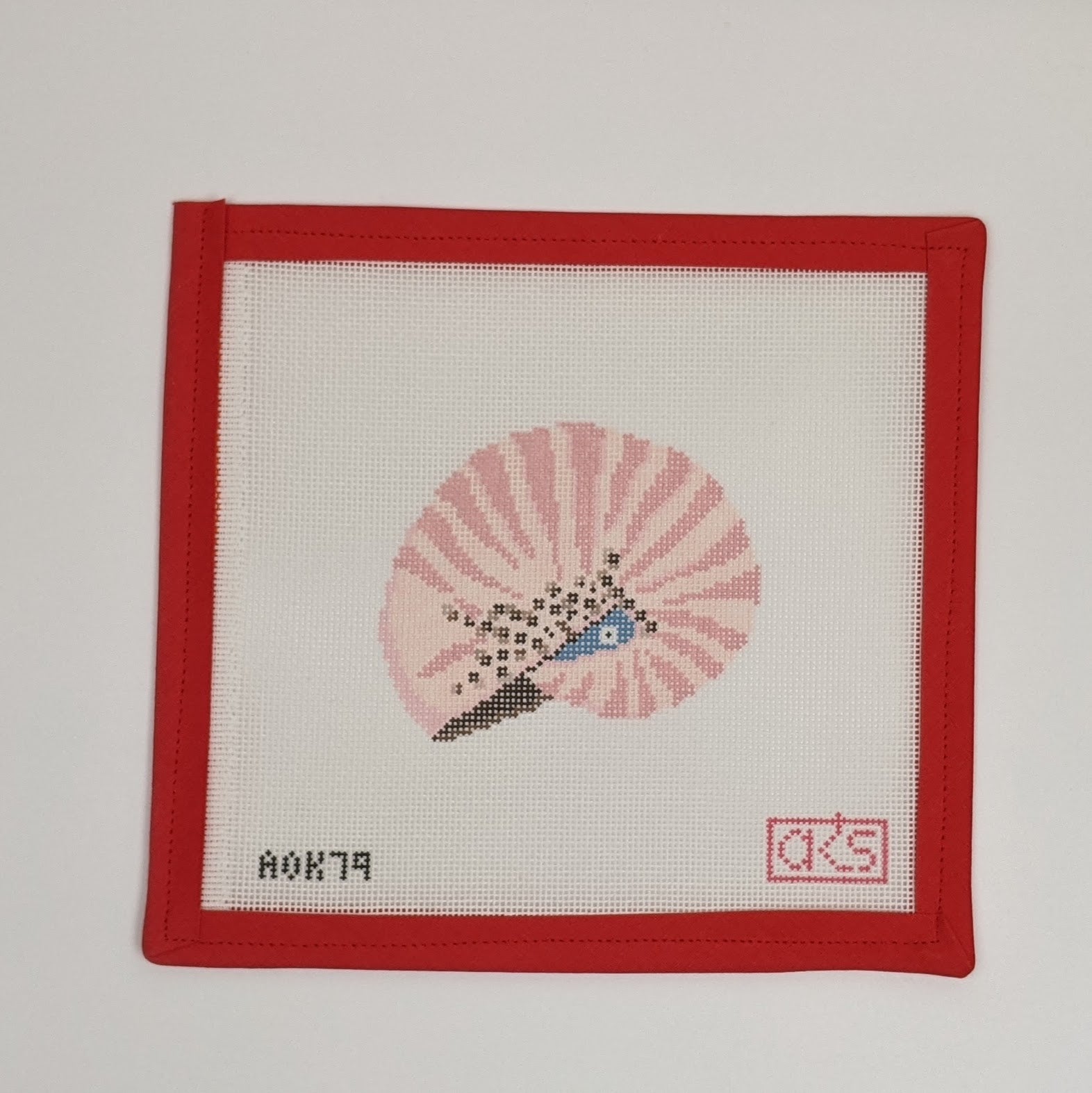 Baby's Ear Nautilus Shell