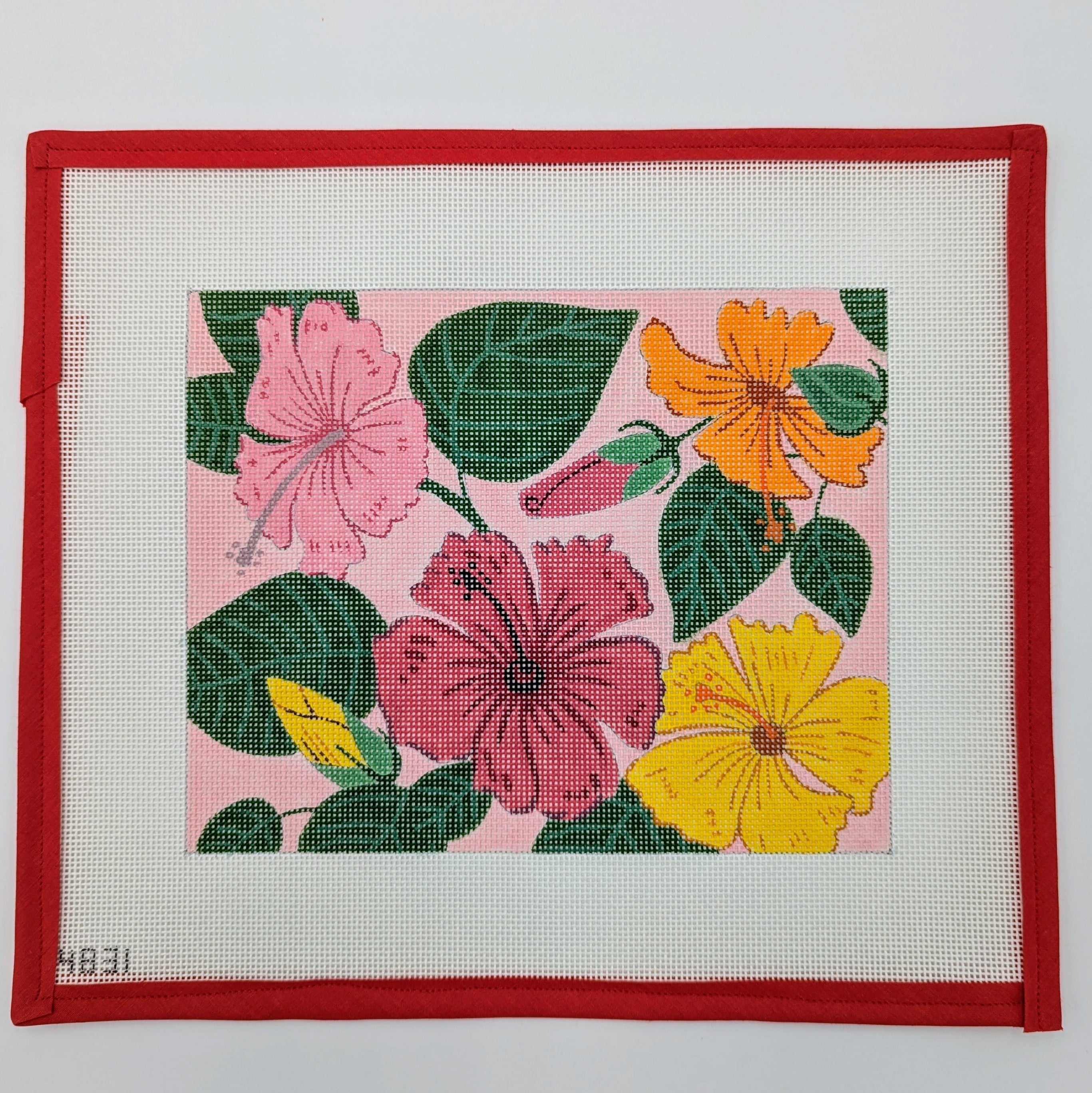 Hibiscus Blooms