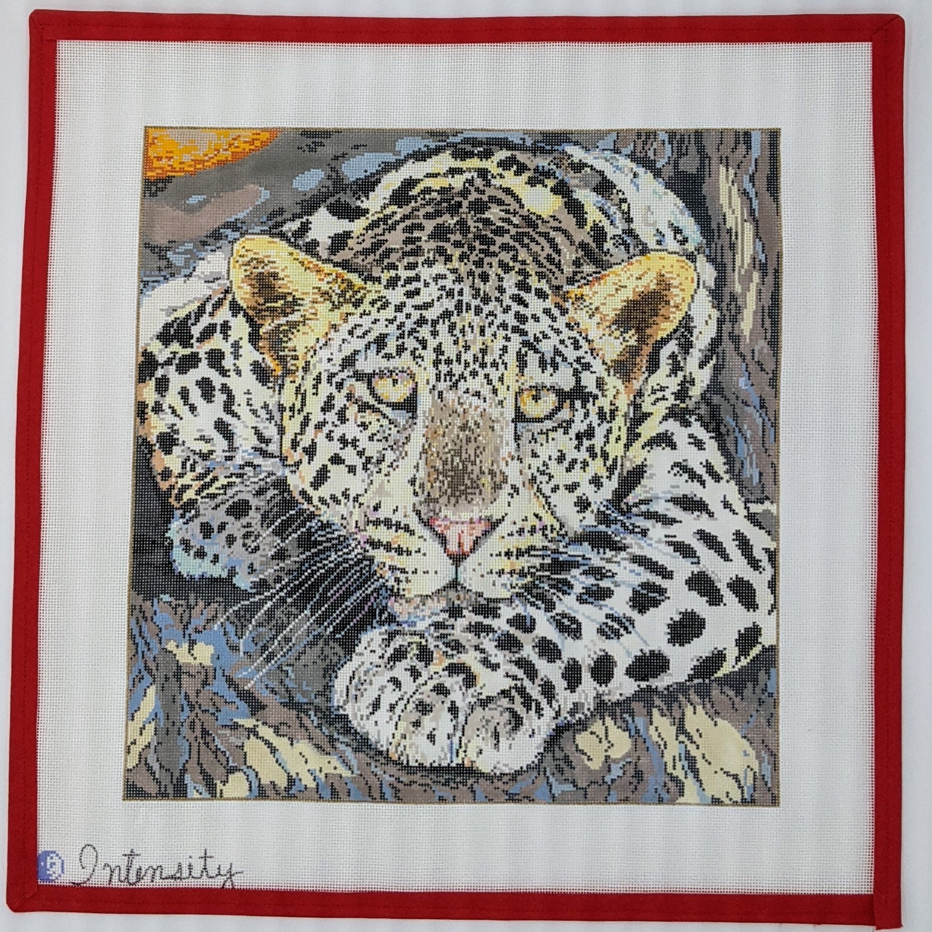 "Intensity" Leopard Crouching