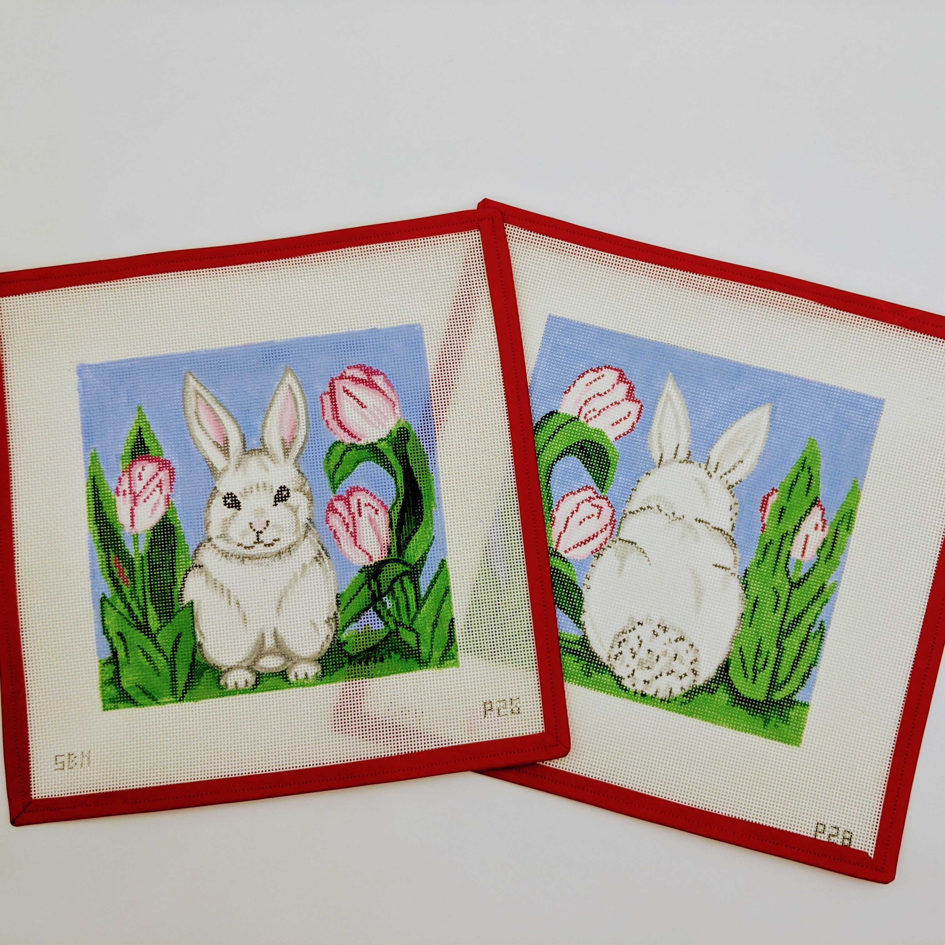 2 Part Bunny Pillow (front and back view)