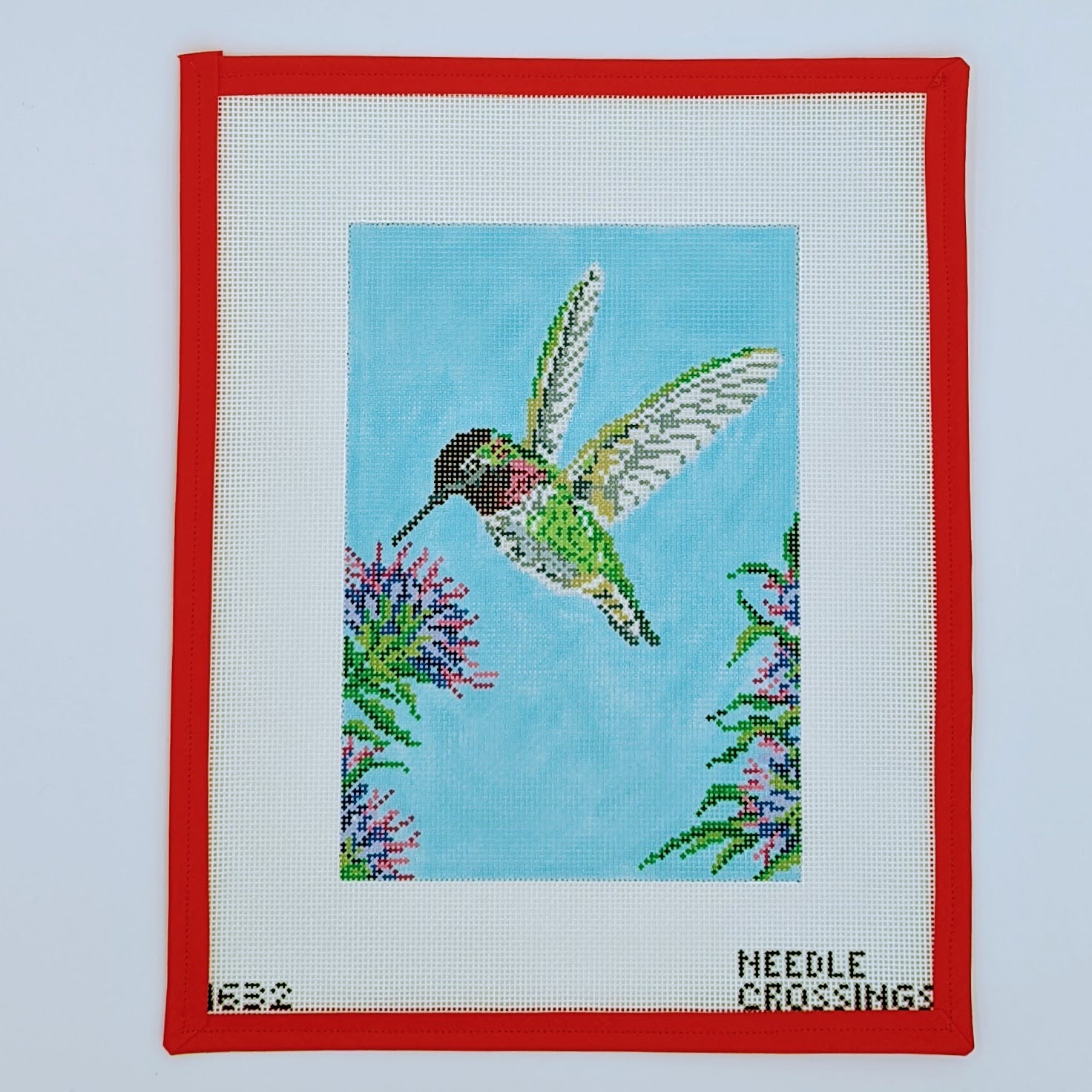 Anna's Hummingbird