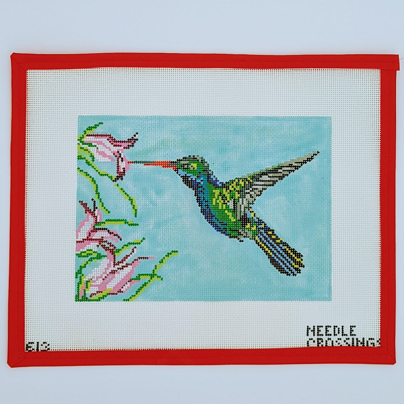 Broad Billed Hummingbird